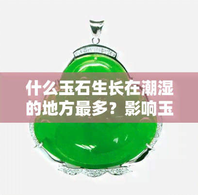 什么玉石生长在潮湿的地方最多？影响玉石形成的环境因素解析