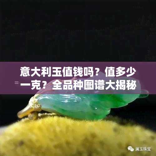 意大利玉值钱吗？值多少一克？全品种图谱大揭秘！