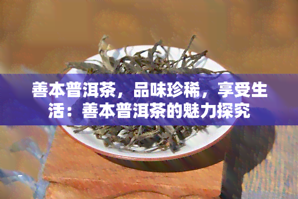 18道茶艺视频教学_茶艺视频教程全集免费_茶艺步骤演示视频教程