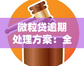 微粒贷逾期处理方案：全面指南，包括2020与2023最新措