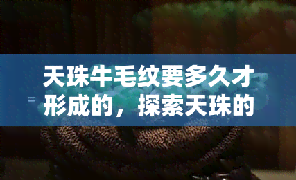 天珠牛毛纹要多久才形成的，探索天珠的形成过程：牛毛纹需要多长时间？