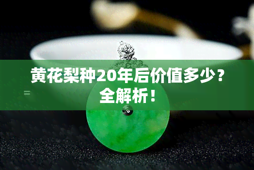 黄花梨种20年后价值多少？全解析！