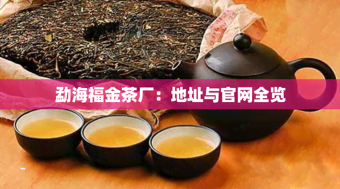 勐海福金茶厂：地址与官网全览