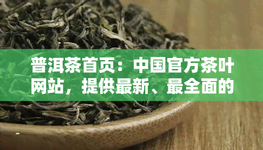 普洱茶首页：中国官方茶叶网站，提供最新、最全面的普洱茶信息