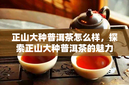 正山大种普洱茶怎么样，探索正山大种普洱茶的魅力：一次深入的品鉴与解析