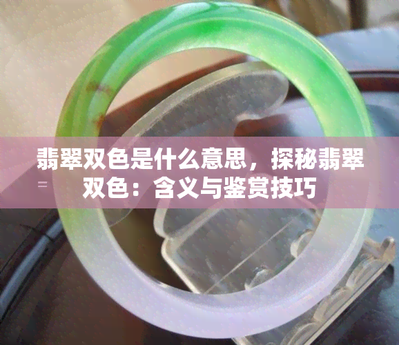 翡翠双色是什么意思，探秘翡翠双色：含义与鉴赏技巧