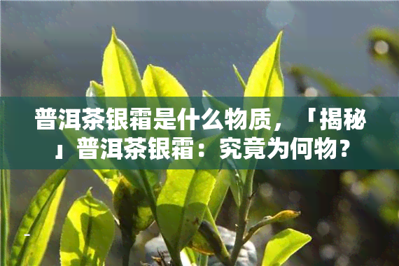 普洱茶的现在银霜是一种紫外光照射后,普洱茶叶表面残留的在于白色