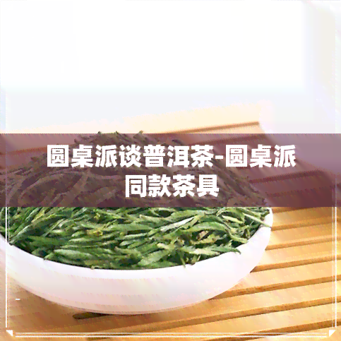 圆桌派谈普洱茶-圆桌派同款茶具