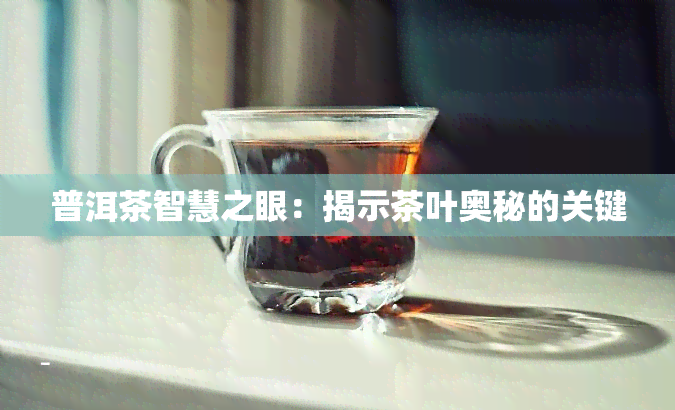 普洱茶智慧之眼：揭示茶叶奥秘的关键