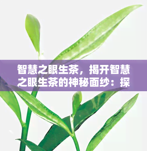 智慧之眼生茶，揭开智慧之眼生茶的神秘面纱：探索其独特的口感和健益处