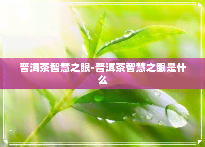 普洱茶智慧之眼-普洱茶智慧之眼是什么