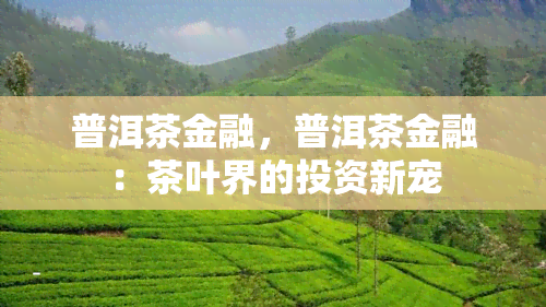 普洱茶金融，普洱茶金融：茶叶界的投资新宠