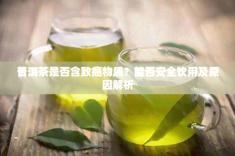 普洱茶是否含致癌物质？能否安全饮用及原因解析