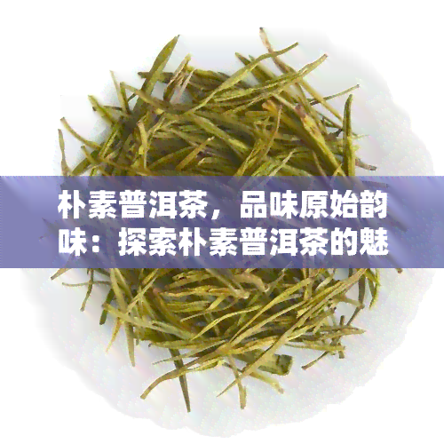 朴素普洱茶，品味原始韵味：探索朴素普洱茶的魅力