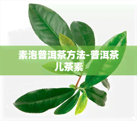 素泡普洱茶方法-普洱茶儿茶素