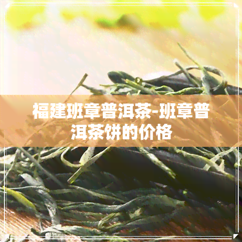 福建班章普洱茶-班章普洱茶饼的价格