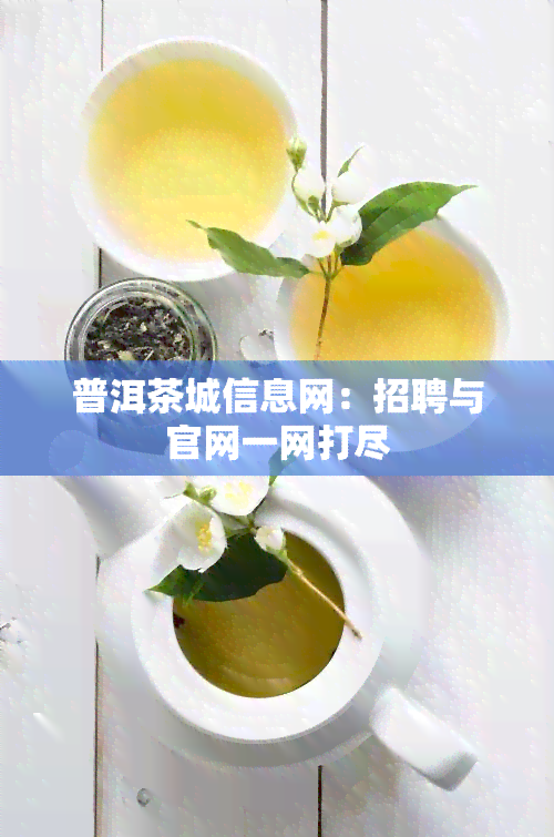 普洱茶城信息网：招聘与官网一网打尽