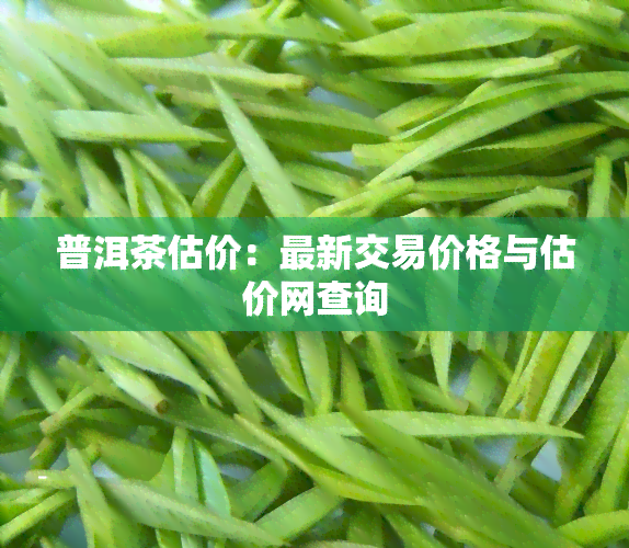 普洱茶估价：最新交易价格与估价网查询