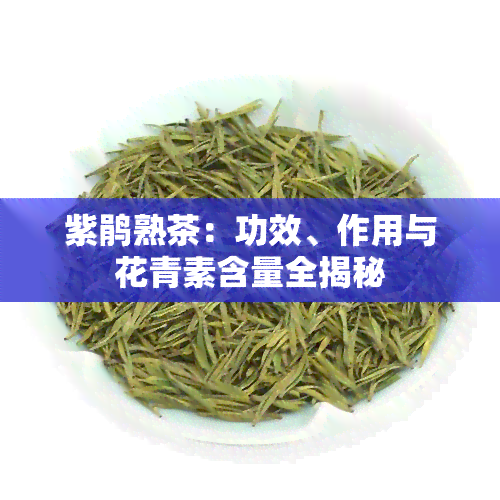 紫鹃熟茶：功效、作用与花青素含量全揭秘