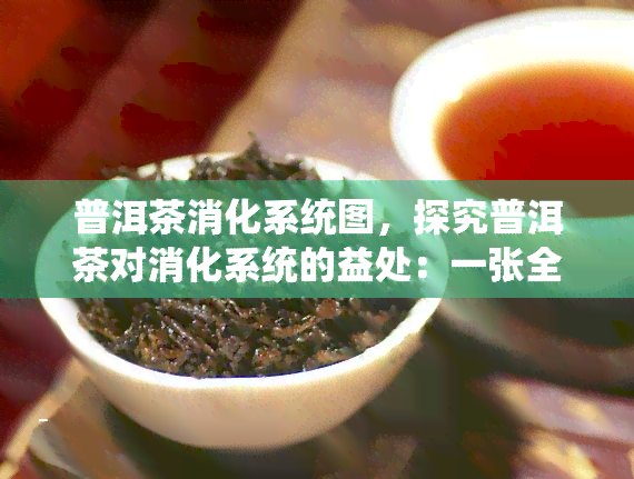 普洱茶消化系统图，探究普洱茶对消化系统的益处：一张全面的图解