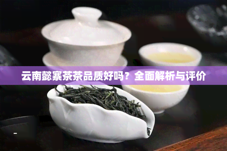 云南懿寨茶茶品质好吗？全面解析与评价