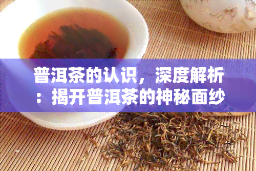 普洱茶的认识，深度解析：揭开普洱茶的神秘面纱