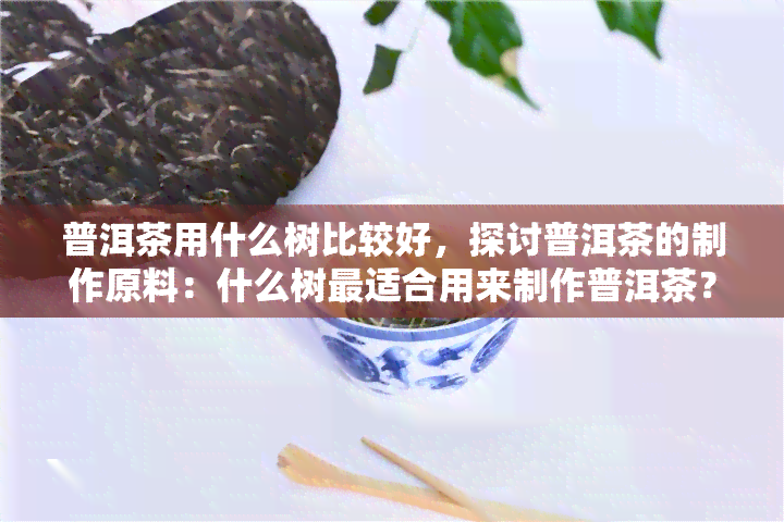 普洱茶用什么树比较好，探讨普洱茶的制作原料：什么树最适合用来制作普洱茶？