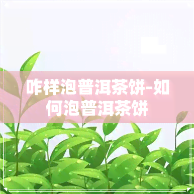 咋样泡普洱茶饼-如何泡普洱茶饼