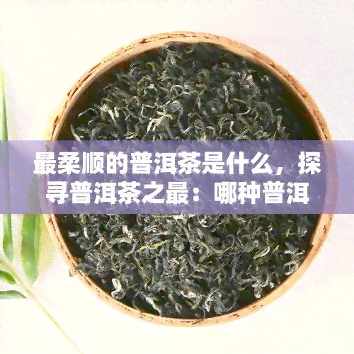 最柔顺的普洱茶是什么，探寻普洱茶之最：哪种普洱茶口感最柔顺？