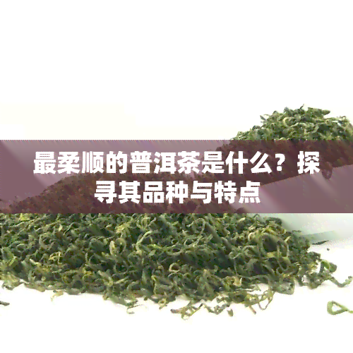 最柔顺的普洱茶是什么？探寻其品种与特点