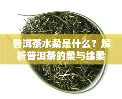 普洱茶水柔是什么？解析普洱茶的柔与绵柔特性