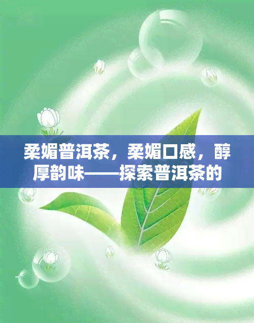 柔媚普洱茶，柔媚口感，醇厚韵味——探索普洱茶的魅力