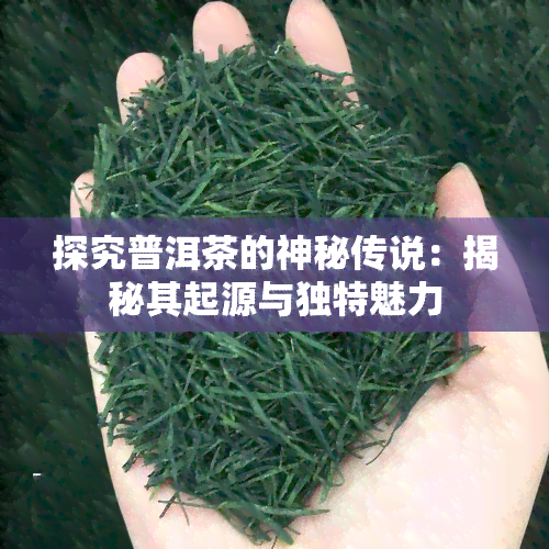 探究普洱茶的神秘传说：揭秘其起源与独特魅力