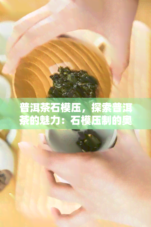 普洱茶石模压，探索普洱茶的魅力：石模压制的奥秘与技巧