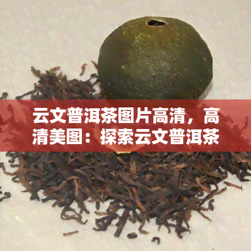 云文普洱茶图片高清，高清美图：探索云文普洱茶的魅力世界