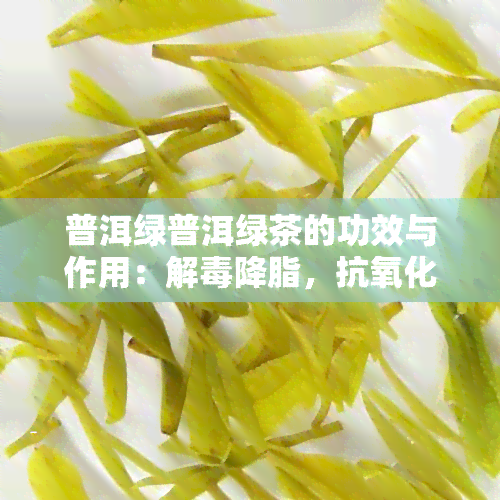 普洱绿普洱绿茶的功效与作用：解降脂，抗氧化，提高免疫力