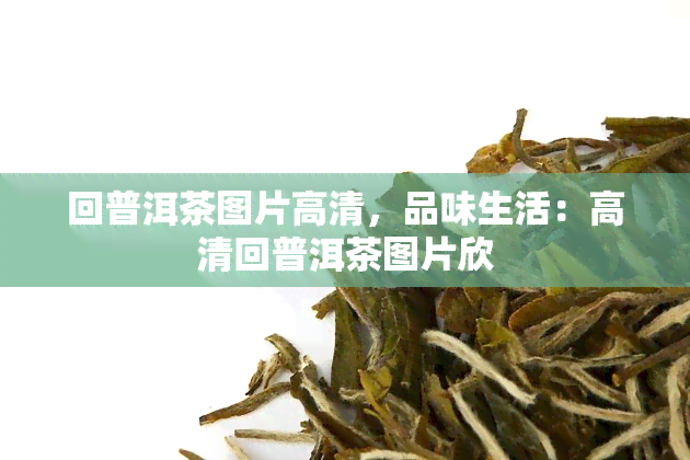 回普洱茶图片高清，品味生活：高清回普洱茶图片欣