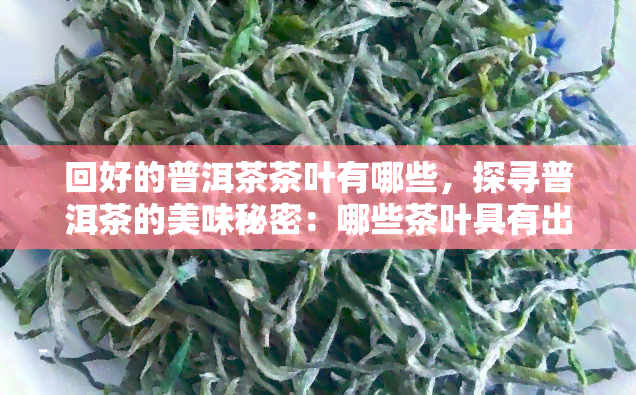 回好的普洱茶茶叶有哪些，探寻普洱茶的美味秘密：哪些茶叶具有出色的回口感？