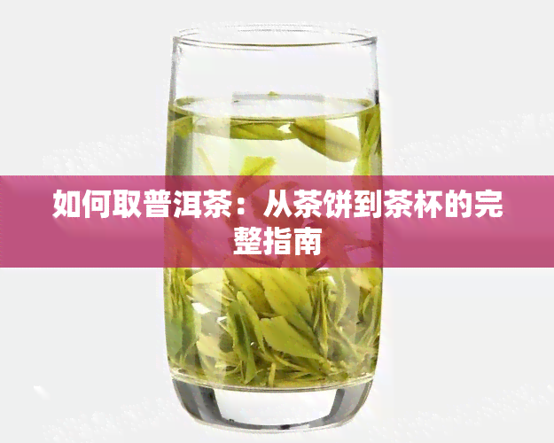 如何取普洱茶：从茶饼到茶杯的完整指南