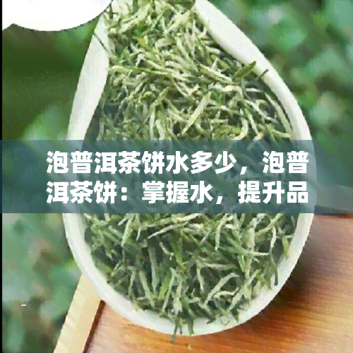 泡普洱茶饼水多少，泡普洱茶饼：掌握水，提升品茗体验！