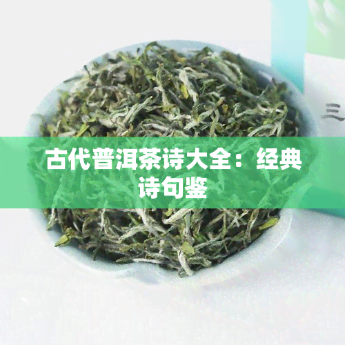 古代普洱茶诗大全：经典诗句鉴