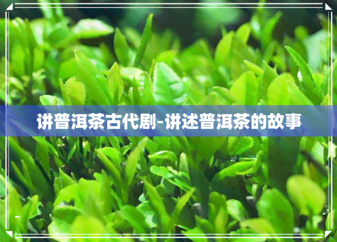 讲普洱茶古代剧-讲述普洱茶的故事