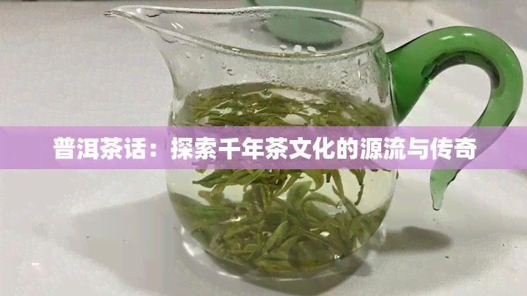 普洱茶话：探索千年茶文化的源流与传奇