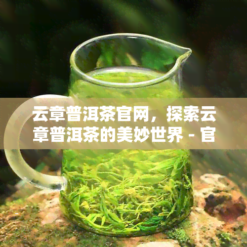 云章普洱茶官网，探索云章普洱茶的美妙世界 - 官网直达