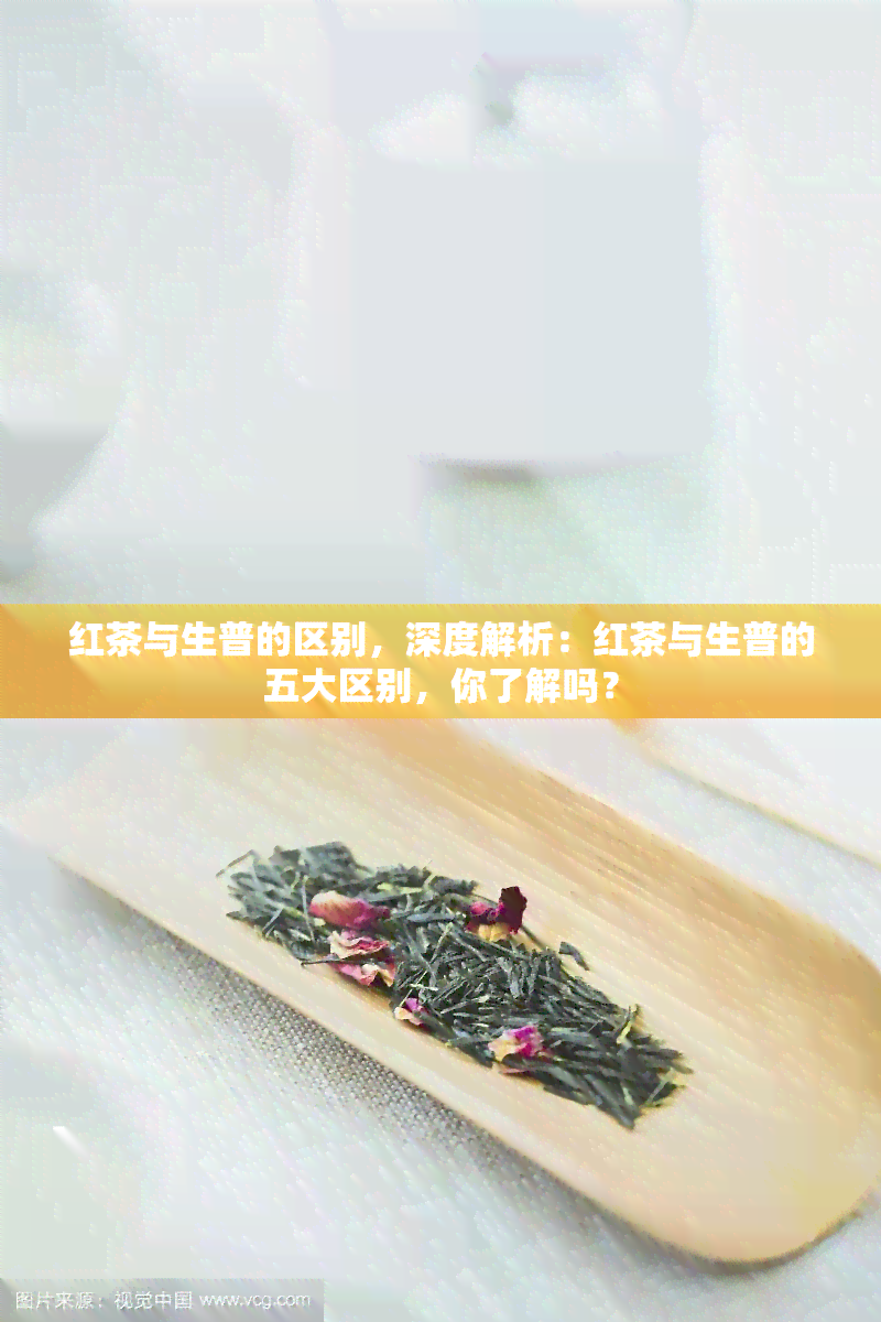 红茶与生普的区别，深度解析：红茶与生普的五大区别，你了解吗？