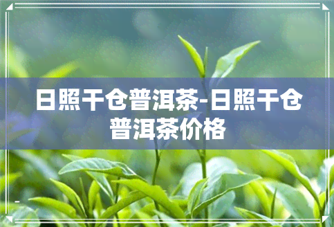 日照干仓普洱茶-日照干仓普洱茶价格