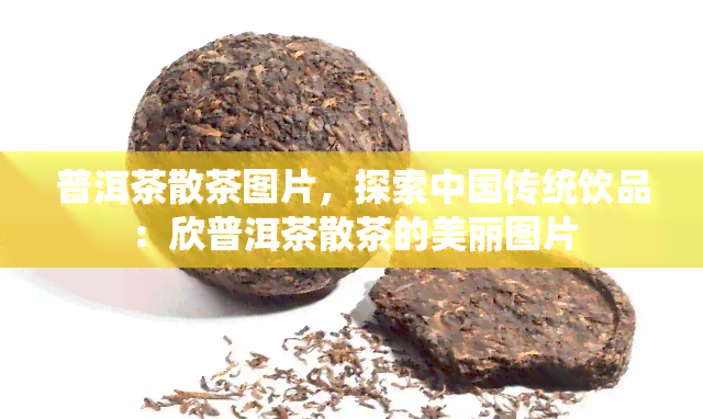 普洱茶散茶图片，探索中国传统饮品：欣普洱茶散茶的美丽图片