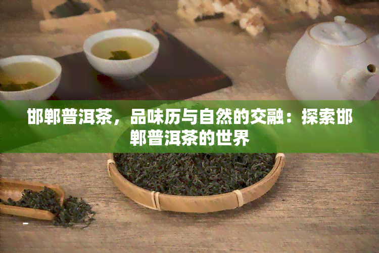 邯郸普洱茶，品味历与自然的交融：探索邯郸普洱茶的世界