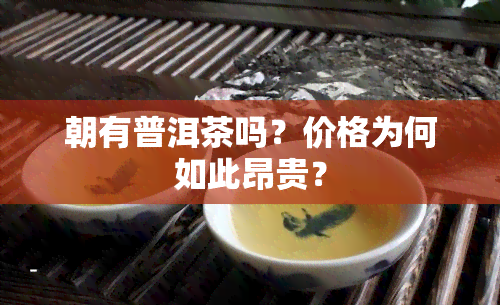 朝有普洱茶吗？价格为何如此昂贵？