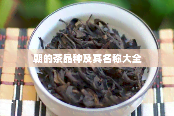 朝的茶品种及其名称大全